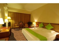 蘇州酒店地毯的選擇與應用全攻略