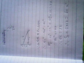 計算臺階地毯鋪設面積